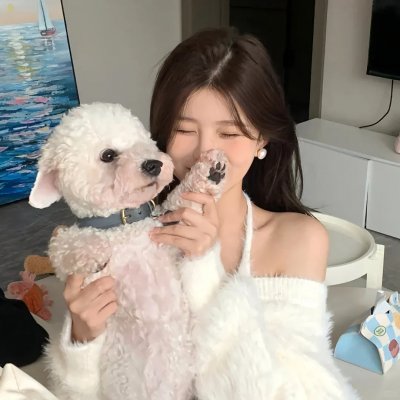 流氓督察